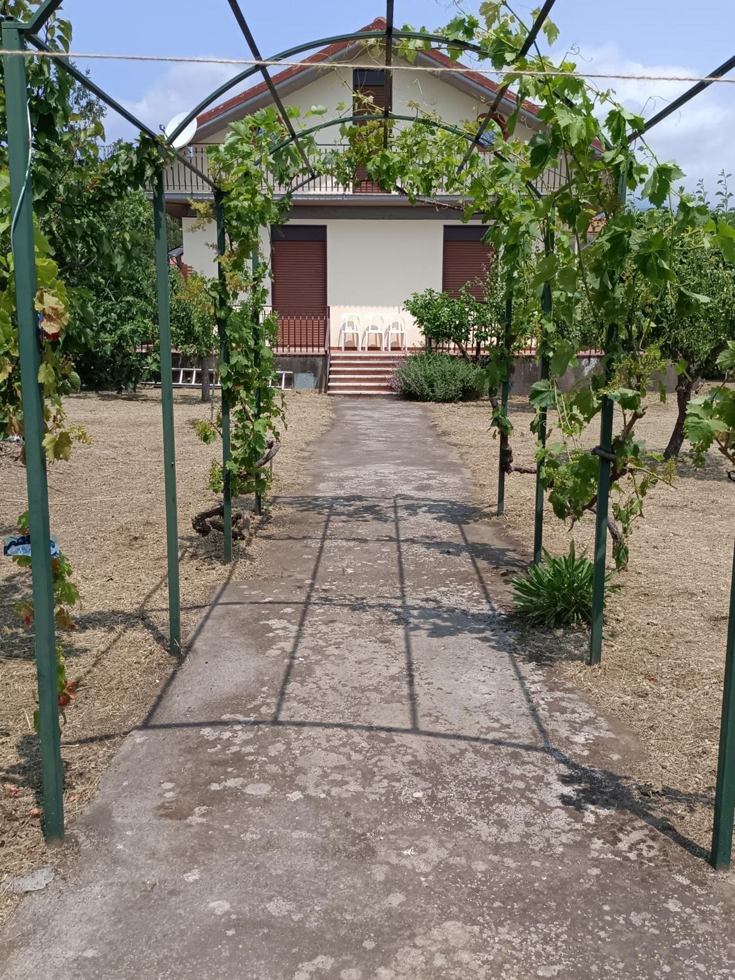 Francesco E Tanina *